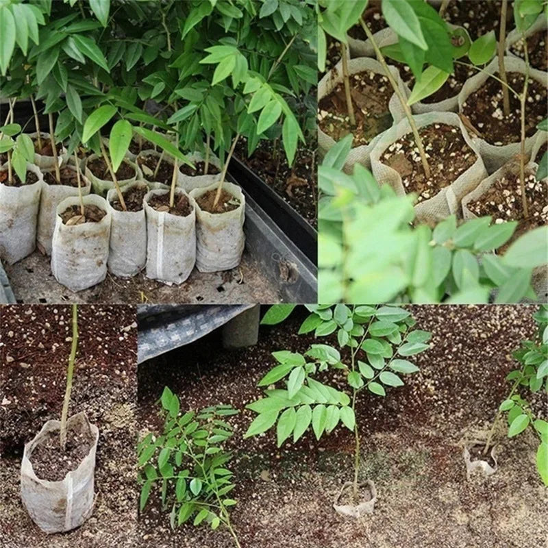 BioGrow Nursery Bags – 100 Piece Set of Biodegradable Plant Grow Bags