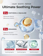 Vitamin B5 Serum – Hydrating and Soothing Barrier Care Essence with Pa