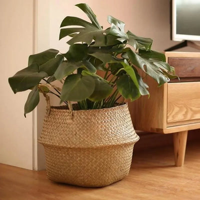 Seagrass Wicker Basket – Multi-Purpose Hanging Storage & Planter
